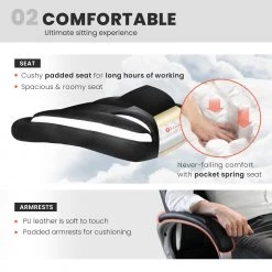 Neo Chair BLC Executive Chair 17 Neo Chair BLC Executive Chair