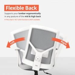 Neo Chair M-Series MK10 Gray (MS-M10-GY)